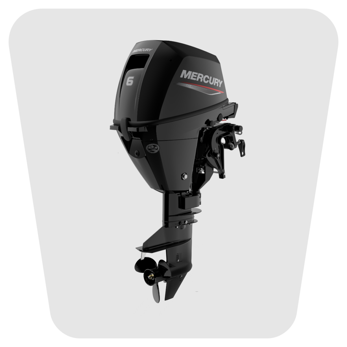 SILNIK ZABURTOWY 6 KM EFI